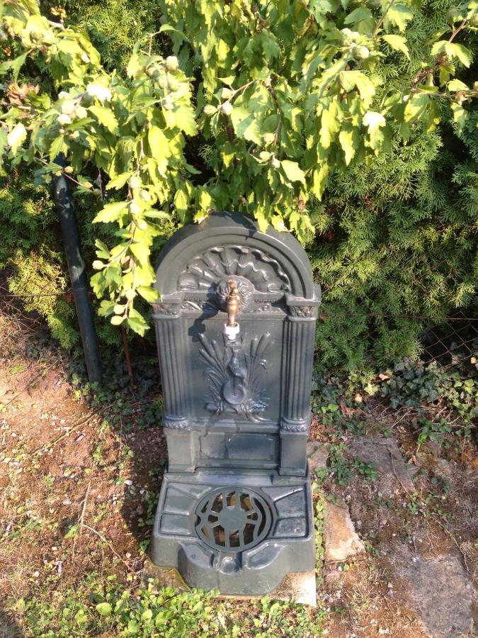 Villa Elisa Vonyarcvashegy Eksteriør bilde