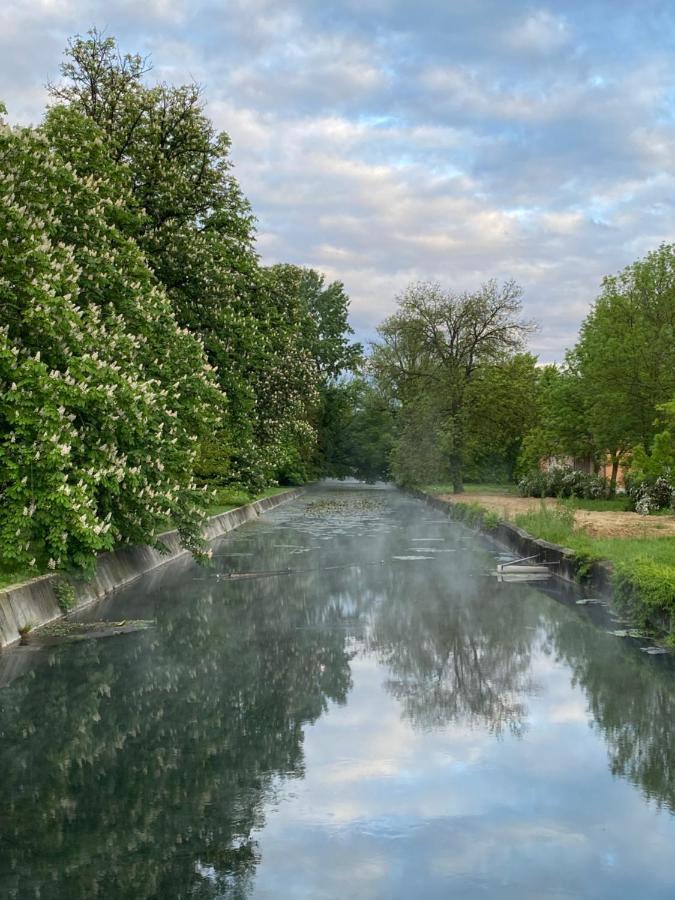 Villa Elisa Vonyarcvashegy Eksteriør bilde